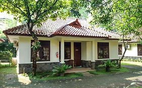 Cico Bogor 2*